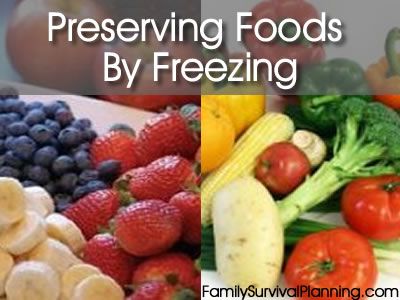 The Art of Freezing Food: Preserving Nutrition and Flavor