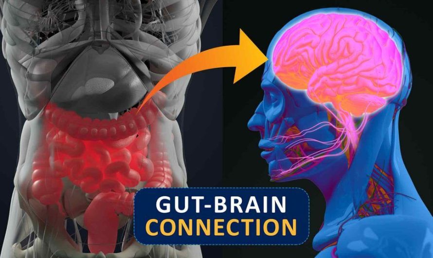 The Gut-Brain Connection: Mental Health and Nutrition