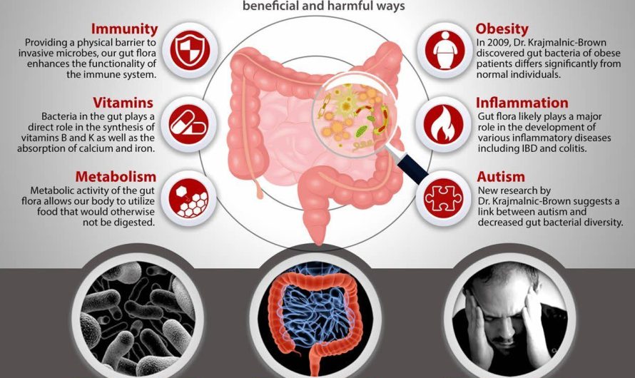 The Latest Findings on Gut Microbiota and Health